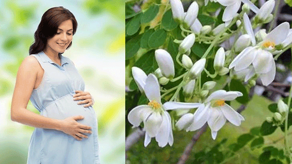 Health Tips: గర్భిణీలు మునగ పువ్వు తినడం వల్ల పొందే అద్భుత ప్రయోజనాలు..! తప్పక తెలుసుకోండి..