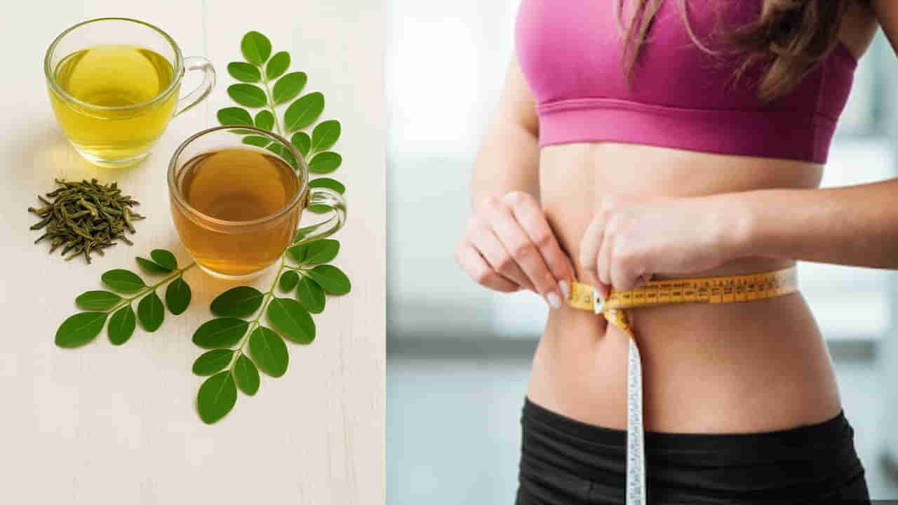 గ్రీన్‌ టీ వర్సెస్‌ మునగాకు టీ.. వేగంగా బరువు తగ్గాలంటే ఏది బెటర్..!