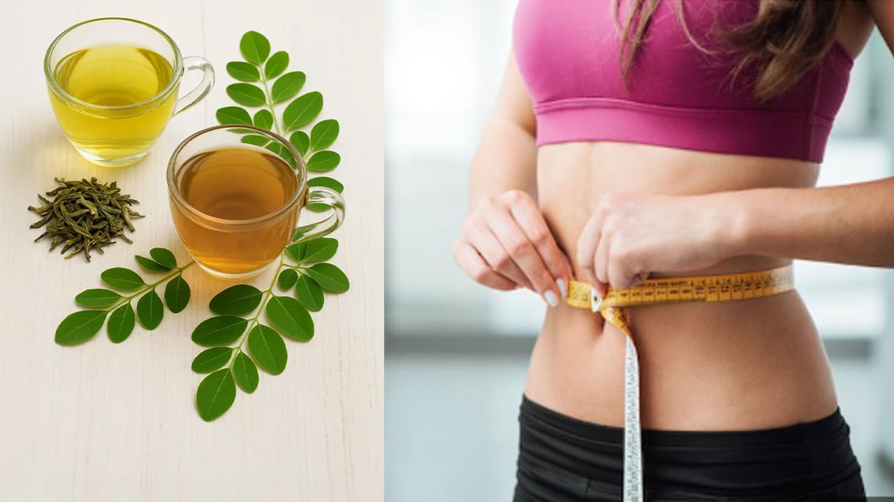 గ్రీన్‌ టీ వర్సెస్‌ మునగాకు టీ.. వేగంగా బరువు తగ్గాలంటే ఏది బెటర్..!