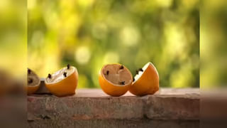 కనుబొమ్మలు అందంగా, ఒత్తుగా, దృఢంగా పెరిగేందుకు అద్భుత ఆయిల్‌.. హోం రెమిడీస్ లో ఈ ఒక్కటి చాలు!