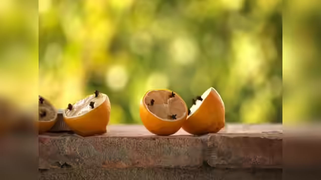 దోమల నివారణకు నిమ్మకాయ మంత్రం..! ఇలా చేస్తే రోగాలు దూరం.. హాయిగా నిద్రపోవచ్చు..