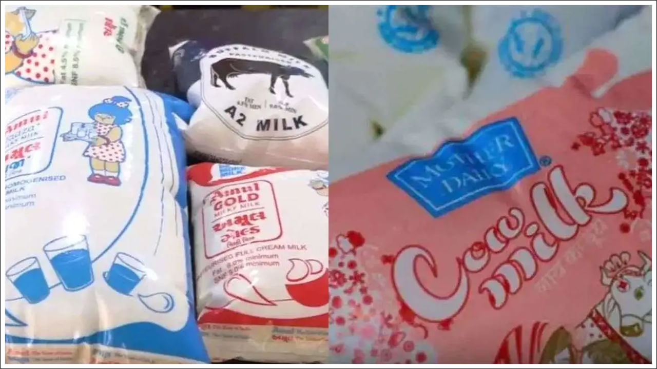 కానీ మీ రెగ్యులర్ పౌచ్ పాలు చౌకగా లభిస్తాయని ఆశించవద్దు. ఎందుకంటే ఇది ఎల్లప్పుడూ GST నుండి మినహాయించింది. రోజువారీ పాలీ ప్యాక్ పాలు (పూర్తి క్రీమ్ పాలు, టోన్డ్ పాలు, ఆవు పాలు మొదలైనవి) ఎల్లప్పుడూ GST నుండి మినహాయించి ఉన్నాయి. అలాగే కొనసాగుతున్నాయి. దాని MRP పై ఎటువంటి ప్రభావం ఉండదు అని డెయిరీ మేజర్ తెలిపింది. పాడి పరిశ్రమ సహకార సంస్థ అమూల్ ఇప్పటికే పౌచ్ పాలపై రేట్లను తగ్గించబోమని స్పష్టం చేసింది. ఎందుకంటే దానిపై ఎప్పుడూ పన్ను విధించలేదు.