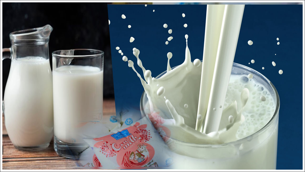 పనీర్, వెన్న, చీజ్, నెయ్యి, మిల్క్ షేక్స్, ఐస్ క్రీం వంటి రోజువారీ ఇష్టమైన వస్తువుల ధరలు కూడా తగ్గుతున్నాయి. ఉదాహరణకు 500 గ్రాముల వెన్న ప్యాక్ ధర ఇప్పుడు రూ.305కి బదులుగా రూ.285కి చేరుకోగా, బటర్ స్కాచ్ కోన్ ఐస్ క్రీం ధర రూ.35 నుండి రూ.30కి తగ్గింది.