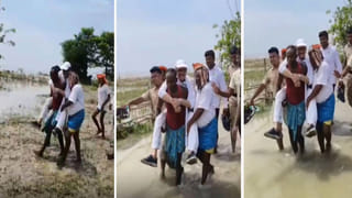 Viral Video: కుక్కకి బయపడి ట్రక్‌ని ఢీకొట్టిన వ్యక్తి.. హృదయ విదారక వీడియో వైరల్