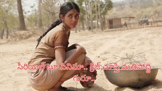 14 ఏళ్లకే స్టార్ హీరోలతో ఛాన్స్.. చావు అంచుల దాక వెళ్లొచ్చిన హీరోయిన్.. ఇప్పుడు ఏం చేస్తుందంటే..