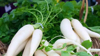 మల్లెపూల వాటర్‌తో అందం…ఇలా చేస్తే బ్యూటిఫుల్ లుక్ మీ సొంతం!