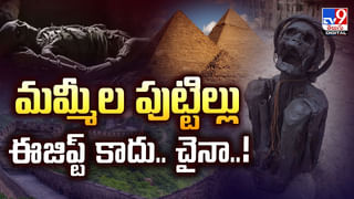 ఇది కదా స్మార్ట్‌ వర్క్‌ అంటే.. అతని టెక్నిక్‌కి అవాక్కవ్వాల్సిందే