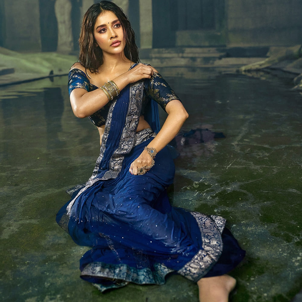 పూరి జగన్నాథ్ తెరకెక్కించిన ఇస్మార్ట్ శంకర్ సినిమాతో తెలుగు ప్రేక్షకులకు దగ్గరైందీ అందాల తార. ఇస్మార్ట్ శంకర్ తన అందం నటనతో ఆకట్టుకుంది. ఆతర్వాత వరుసగా అవకాశాలు అందుకుంది. డిస్కో రాజా, అదుగో, సోలో బ్రతుకే సో బెటర్, అల్లుడు అదుర్స్, మ్యాస్ట్రో తదితర సినిమాల్లో నటా నటేష్ అభినయానికి మంచి మార్కులు పడ్డాయి. కానీ ఆ సినిమాలేమీ హిట్ కాలేదు.