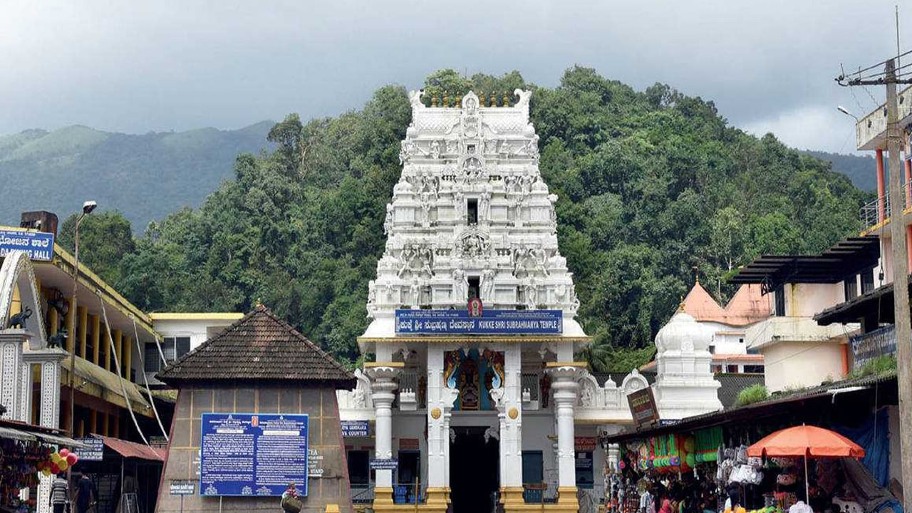 ఇక్కడ సుబ్రమణ్యేశ్వర స్వామి విగ్రహం పడగ విప్పు కాపు కాస్తున్న ఆరు సర్పాల కాల నాలుగు వలె ఉంటుందంట. అందువలన ఇక్కడి వెళ్లిన వారికి శుభం జరగడమే కాకుండా, కాలసర్ప దోషం వంటివి ఉన్నా కూడా అవి తొలిగిపోతాయంట.