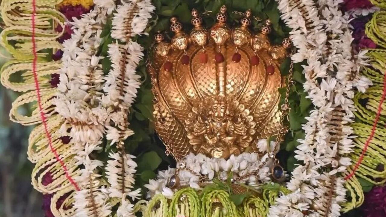 ఈ ఆలయంలో రోజూ నిత్య పూజలు జరుగుతుంటాయి. అలాగే వాటితో పాటు కాల సర్ప దోష పూజలలో ఆశ్లేషబలి, సర్ప సంస్కారలు ముఖ్యమైనవని చెబుతున్నారు పండితులు. కుక్కే సుబ్రమణ్య స్వామి వారి ఆలయంలోకి వెళ్లి ఈ పూజలు జరిపించుకుంటే నాగ దోషం, కాలసర్ప దోషం, కుజ దోషం నుంచి విముక్తి లభిస్తుందని భక్తుల నమ్మకం.