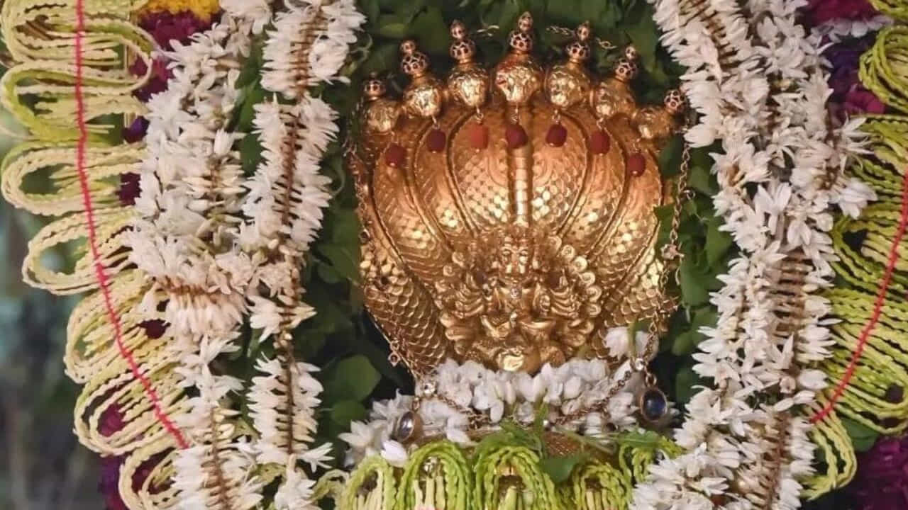 ఈ ఆలయంలో రోజూ నిత్య పూజలు జరుగుతుంటాయి. అలాగే వాటితో పాటు కాల సర్ప దోష పూజలలో ఆశ్లేషబలి, సర్ప సంస్కారలు ముఖ్యమైనవని చెబుతున్నారు పండితులు. కుక్కే సుబ్రమణ్య స్వామి వారి ఆలయంలోకి వెళ్లి ఈ పూజలు జరిపించుకుంటే నాగ దోషం, కాలసర్ప దోషం, కుజ దోషం నుంచి విముక్తి లభిస్తుందని భక్తుల నమ్మకం.
