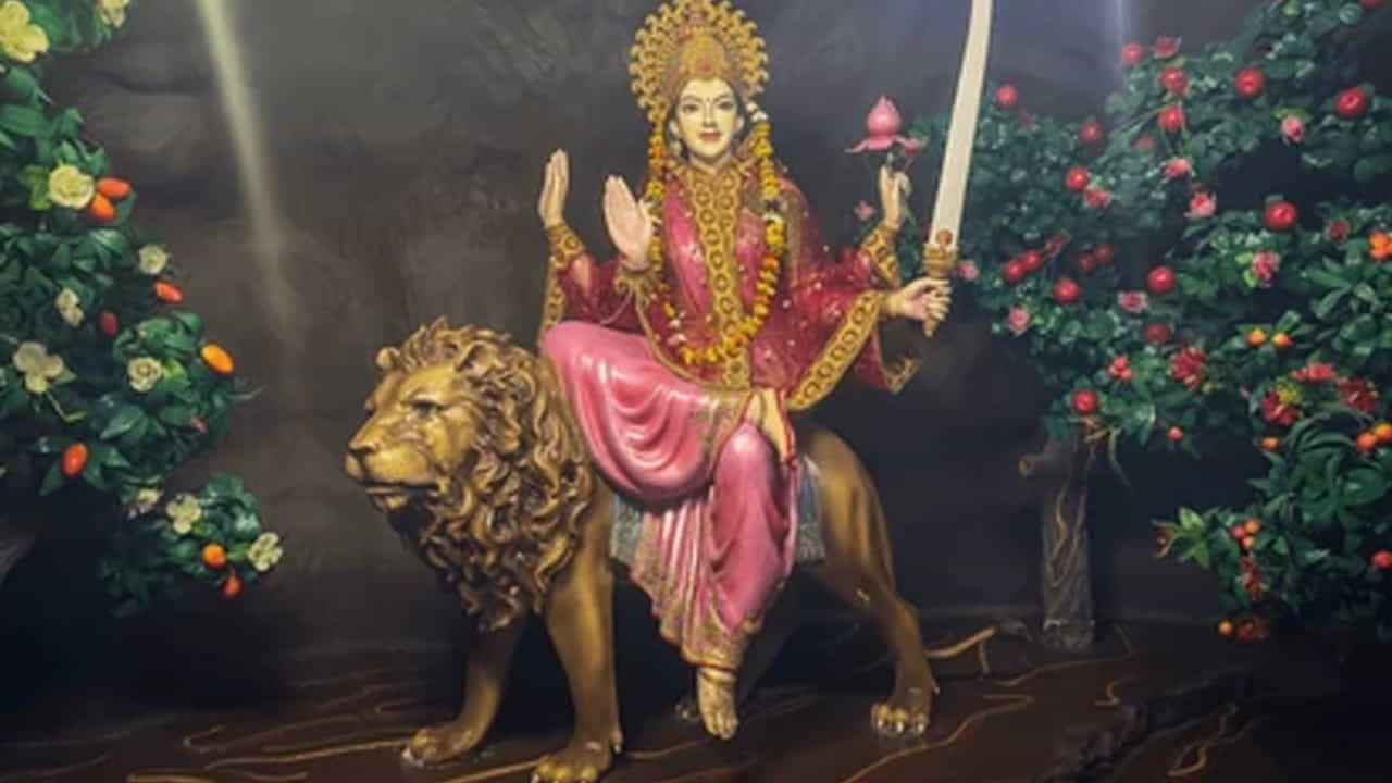 ఆరవ రోజు కాత్యాయని మాత: ఆరవ రోజున భక్తులు యోధ దేవత అయిన కాత్యాయణి దేవిని పూజిస్తారు. పురాణాల ప్రకారం కాత్యాయన ముని చేసిన తపస్సుని మెచ్చి అతని కుమార్తెగా జన్మించింది. ఆమె శక్తి, ధైర్యం, చెడుపై విజయాన్ని సూచిస్తుంది. ఆమె మహిళలను దీర్ఘ సుమంగళిగా ఉండేలా ఆశీర్వదిస్తుందని నమ్ముతారు.