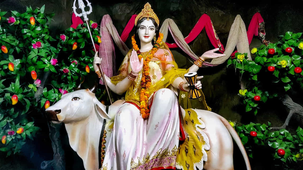 ఎనిమిదవ రోజు మహాగౌరి: ఎనిమిదవ రోజున, భక్తులు స్వచ్ఛత, శాంతి, కరుణను సూచించే మహాగౌరిని పూజిస్తారు. తెల్లని దుస్తులు ధరించి, త్రిశూలం, డ్రమ్ పట్టుకుని తెల్లటి ఎద్దుపై స్వారీ చేస్తుంది. సంసారం చివరిదశ వస్తుందనగా జీవితాన్ని వెనక్కి చూసుకుని అన్నింటినీ వదిలేసి శుద్ద స్వరూపంగా ఉండగలగడం.. ఆమె ప్రశాంతతను ప్రసరింపజేస్తుంది. తన భక్తులకు ఆరోగ్యం, శ్రేయస్సు ని ఇస్తుంది.