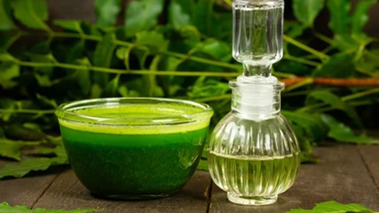 వేపలో యాంటీ బాక్టీరియల్, యాంటీ ఫంగల్, యాంటీవైరల్, యాంటీఆక్సిడెంట్ లక్షణాలు ఉన్నాయి. ఇవి శరీరాన్ని లోపలి నుంచి శుభ్రపరచడానికి, ఇన్ఫెక్షన్ల  నుంచి  రక్షించడానికి, రోగనిరోధక శక్తిని బలోపేతం చేయడానికి సహాయపడతాయి. అందుకనే వేప ఒక ఔషధ మూలిక.. దీని ఆకులు చేదుగా ఉన్నా.. ప్రతిరోజూ ఒకటి లేదా రెండు తింటే చాలా వ్యాధులను నయం చేయగలదు. ఆయుర్వేదంలో వేపను శక్తివంతమైన ఔషధ మొక్కగా పరిగణిస్తారు. దీనిని ఆరోగ్యవర్ధిని, సర్వ రోగ నాశిని అని అంటారు. వేప ఆకులను తీసుకోవడం వల్ల శరీరంలోని మూడు దోషాలు సమతుల్యం అవుతాయి. వాత, పిత్త, కఫ దోషాల నివారణకు ప్రభావంతంగా పని చేస్తుంది. ఈ రోజు ప్రతిరోజూ వేప ఆకుల నీటిని తాగడం వల్ల కలిగే ఆరోగ్య ప్రయోజనాల గురించి తెలుసుకుందాం... 
