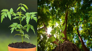 Zodiac Signs: ఆ విషయంలో ఈ 4 రాశులు వేరే లెవెల్.. వీరితో పెట్టుకుంటే నరకం చూపిస్తారు..