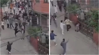 వామ్మో.. పిల్లా కాదు బాబోయ్ చిచ్చర పిడుగు.. భారీ విష సర్పాన్ని బొద్దింకలా తరిమికొట్టింది..!