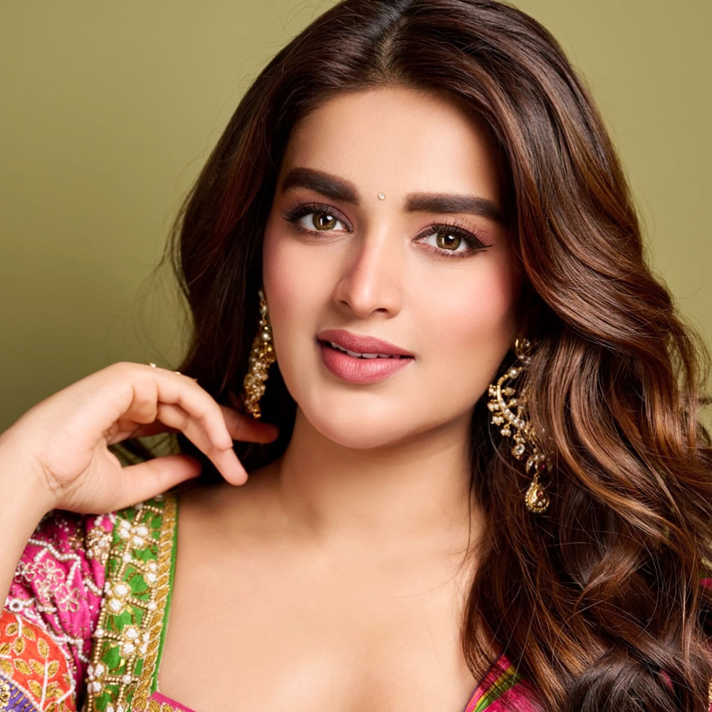 ఈ అమ్మడు గతంలో చేసిన కామెంట్స్ నెట్టింట వైరల్ ;గా మారాయి. నిధి అగర్వాల్ అంత ఈజీగా హీరోయిన్ అవ్వలేదు. ఎన్నో కష్టాలు భరించింది ఈ అమ్మడు. మొదటి సినిమా సమయంలో దాదాపు రెండేళ్లు సినిమా ఆఫీసుల చుట్టూ తిరిగిందట.