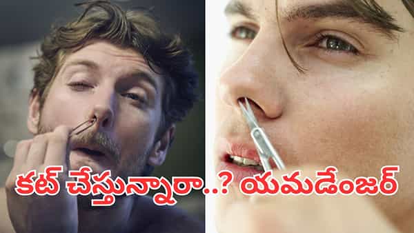 ముక్కులోని వెంట్రుకలు కట్ చేస్తున్నారా..? అయితే, మీ ఊపిరితిత్తులు హాంఫట్..