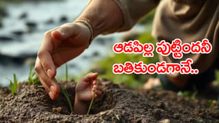 Viral Video: రండిరా రండి.. మీకోసమే చూస్తున్నా… ఆస్పత్రి టాయిలెట్‌పై నల్లతాచు బుసలు.. బాత్‌రూమ్‌కు వెళ్లిన డాక్టర్‌…