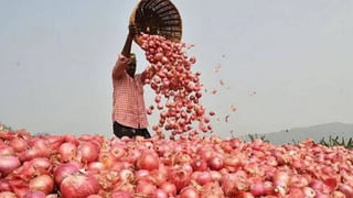 Andhra News: చెదిరిన కలలు.. ప్రయాణికులను కన్నీరు పెట్టించిన సంఘటన.. అసలు ఏం జరిగిందంటే?