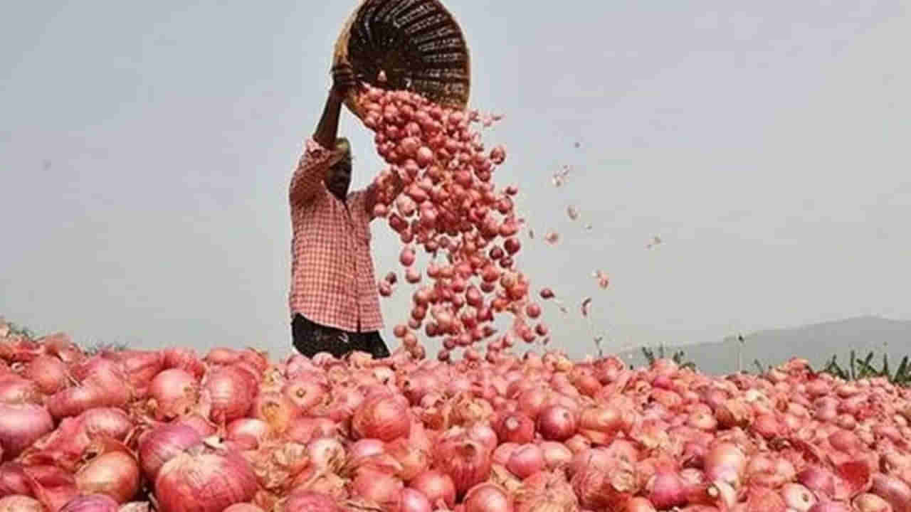 Kurnool: కర్నూలు ఉల్లి రైతులకు గుడ్న్యూస్..