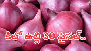 AP, Telangana News Live: కాలేజీల బంద్‌.. యాజమాన్యాలతో ప్రభుత్వం చర్చలు సఫలం