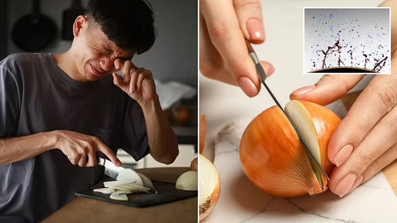 ఉల్లిపాయలు కోసేటప్పుడు కళ్ళ నుంచి నీళ్లు కారడం సహజం. ఉల్లి ఆహార రుచిని పెంచుతాయి. అంతేకాకుండా ఆరోగ్యానికి కూడా ఎంతో మేలు చేస్తాయి. ప్రతిరోజూ వంట చేసే వారికి ఇది అలవాటు అయినప్పటికీ, ఉల్లిపాయలు కోసేటప్పుడు ప్రతిసారి కళ్ళ నుంచి నీరు కారుతుంటాయి.