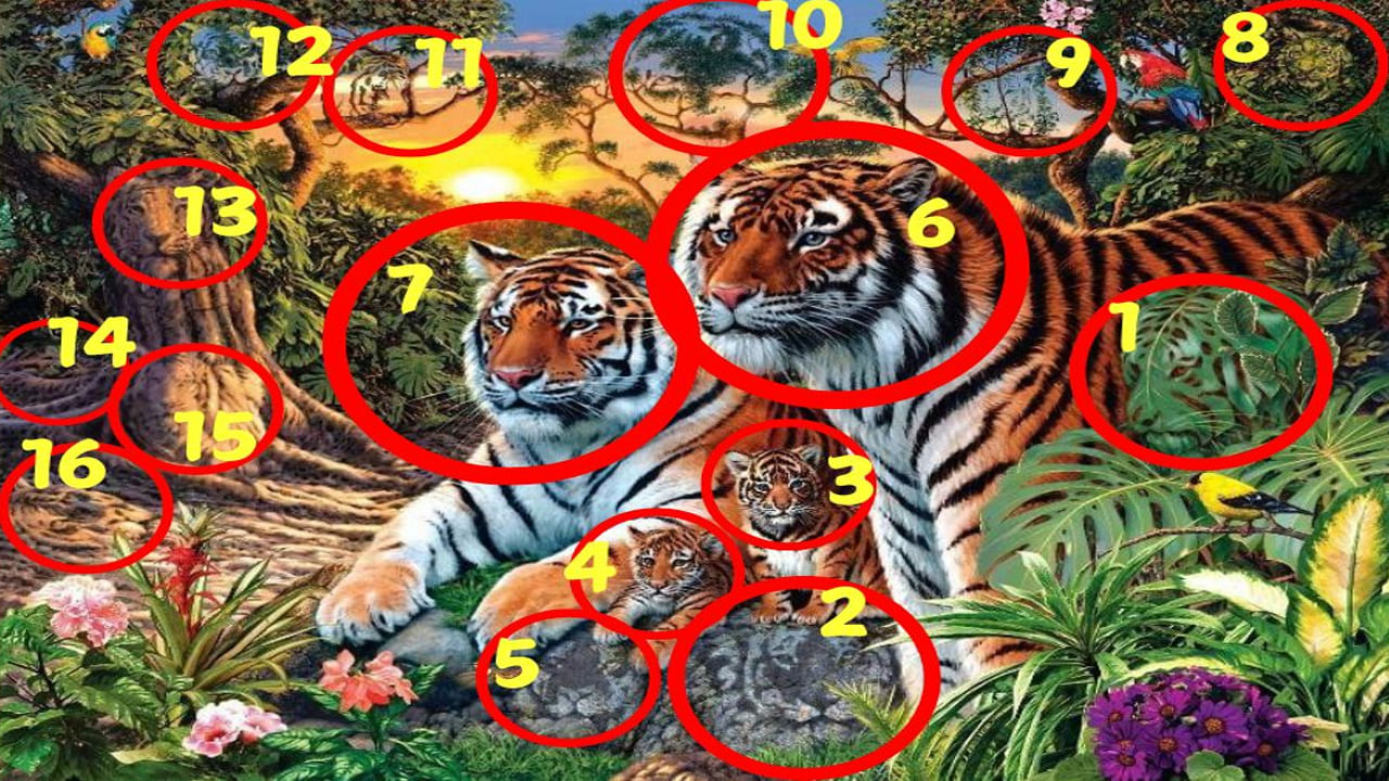 Optical Illusion 1