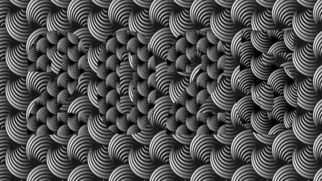 Optical Illusion: ఈ నలుపు, తెలుపు చిత్రంలో దాగి ఉన్న అంకెను 5 సెకన్లలో చెప్పగలరా.. !