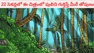 ఏం గుండెరా వీడిది.. ఏకంగా కరెంట్ వైర్లతోనే గేమ్స్.. కొంచెం అటు ఇటైనా..!