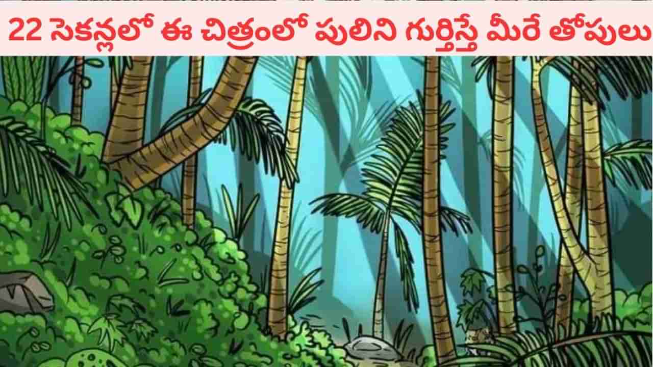 Optical illusion: మీకో సవాల్.. ఈ చిత్రంలోని పులిని 22 సెకన్లలో గుర్తిస్తే.. మీరే తోపులు!