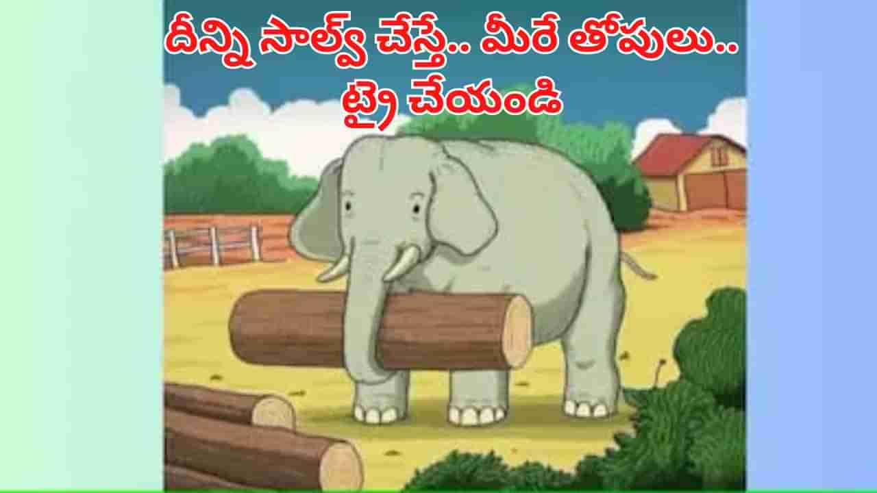 Optical Illusion: మీకో సవాల్‌.. 7 సెకన్లలో ఈ ఫోటోలోని గుర్రం తలను గుర్తించండి.. సాల్వ్ చేస్తే మీరే తోపులు!