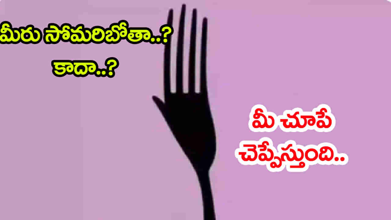 Personality Test: మీరు సోమరిబోతా? కాదా? అనేది.. ఈ ఫొటో చిటికెలో చెప్పేస్తుంది! ఎలాగో తెల్సా..
