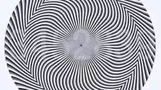 Watch: కామారెడ్డిలో విష సర్పాల సంచారం..! ఎలా పడగ విప్పి చూస్తున్నాయో తెలిస్తే..