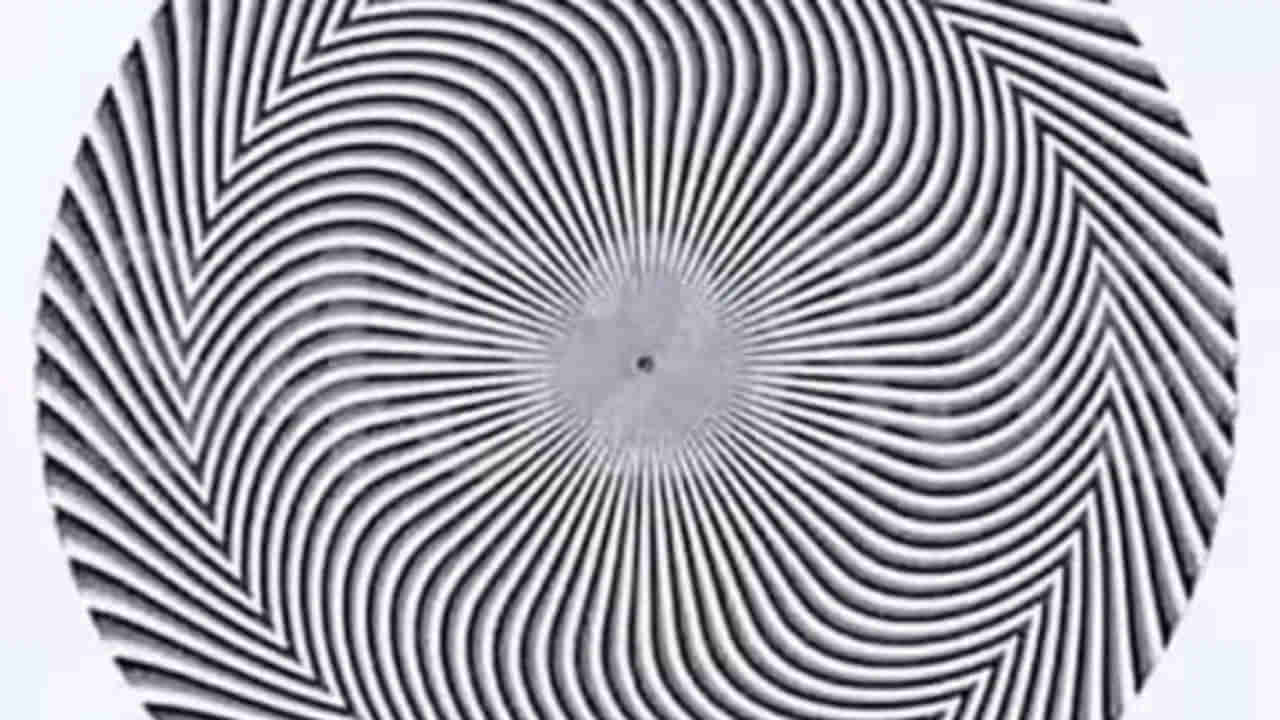 Photo Puzzle: ఈ ఫోటోలోని నెంబర్ ఏంటో చెప్పగలరా.? 5 సెకన్లలో కనిపెడితే మీరే తెలివైనవారు