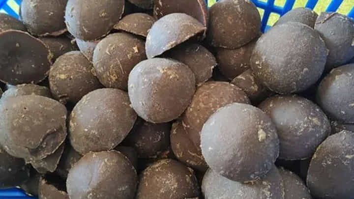 Palm Jaggery : తాటి బెల్లం ప్రయోజనాలు తెలిస్తే.. అస్సలు వదలరు! Palm Jaggery : తాటి బెల్లం ప్రయోజనాలు తెలిస్తే.. అస్సలు వదలరు!
