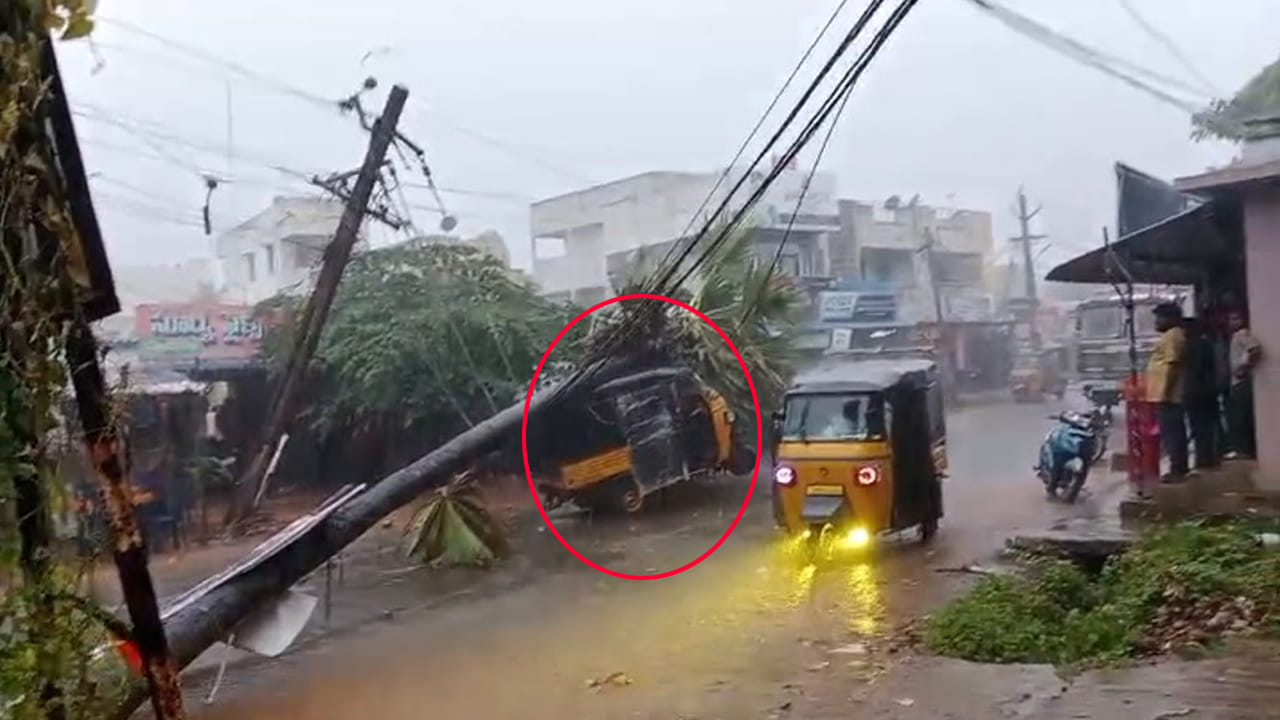 Srikakulam: రోడ్డుపై వెళుతున్న ఆటోపై పడ్డ భారీ తాటి చెట్టు...తర్వాత Srikakulam: రోడ్డుపై వెళుతున్న ఆటోపై పడ్డ భారీ తాటి చెట్టు...తర్వాత