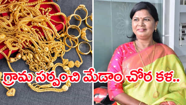 చోరీ చేస్తే ఆ కిక్కే వేరప్పా!..15 ఏళ్లుగా గ్రామ పంచాయతీ సర్పంచి చోరకళ..!