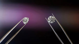 Viral Video: మా దోస్తుగాడినే పొడుస్తావానే.. కోడిపుంజును తరిమిన కుక్క.. అంతకుముందు ఏం జరిగిందో చూడండి..