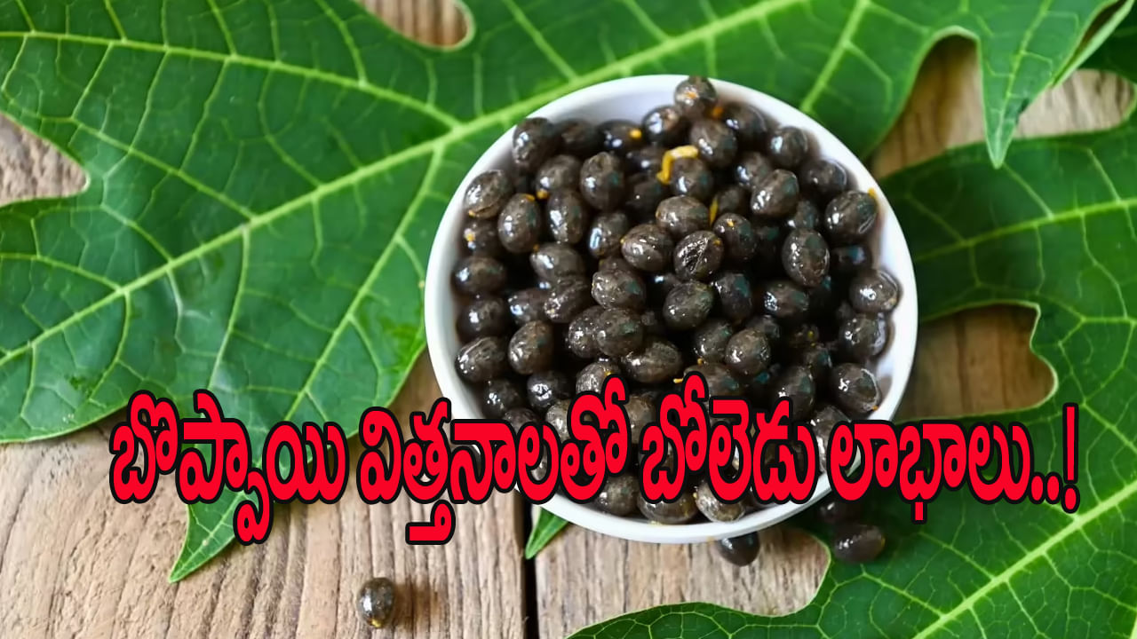 Papaya Seeds: బొప్పాయి పండు, ఆకు కాదు.. గింజలతోనూ గంపెడు లాభాలు.. తెలిస్తే ఒక్కటి కూడా వదిలిపెట్టరు..