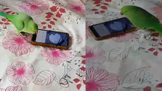 ఏడాదిలో 15 రోజులే పనిచేసే రైల్వే స్టేషన్