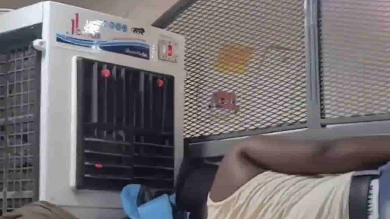 Viral Video: ఐడియా అదిరింది భయ్యా!..ఇప్పటి దాకా ఏ రైల్లోనూ చూడలే... నెట్టింట వైరల్‌గా మారిన వీడియో