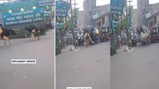 Viral: అక్కడెలా పెట్టుకున్నావురా.. 10 ఏళ్ల బాలుడికి ఎక్స్‌రే తీసి బిత్తరపోయిన డాక్టర్లు