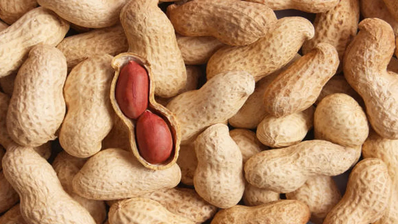 హెల్త్లైన్ ప్రకారం 100 గ్రాముల ముడి వేరుశెనగలో 567 కేలరీలు, 6.5% నీరు, 25.8 గ్రాముల ప్రోటీన్, 16.1 కార్బోహైడ్రేట్లు, 4.7 గ్రాముల చక్కెర, 8.5 గ్రాముల ఫైబర్, 15.56 గ్రాముల ఒమేగా-6, బయోటిన్, కాపర్, నియాసిన్, ఫోలేట్, మాంగనీస్, విటమిన్ E, ఫాస్పరస్, మెగ్నీషియం వంటి ఖనిజాలు మరియు పోషకాలతో పాటు ఉంటాయి. ఇవి మన ఆరోగ్యానికి అనే రకాలుగా ఉపయోగపడుతాయి.