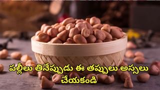 Papaya Seeds: బొప్పాయి పండు, ఆకు కాదు.. గింజలతోనూ గంపెడు లాభాలు.. తెలిస్తే ఒక్కటి కూడా వదిలిపెట్టరు..