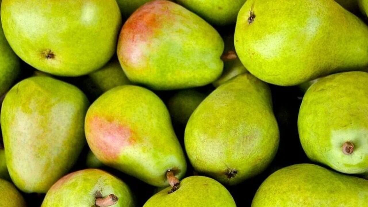 డయాబెటీస్తో బాధపడే వారికి కూడా ఇవి గొప్ప వరం అనే చెప్పాలి. వైద్యులు మధుమేహ వ్యాధి గ్రస్తులకు పండ్లు తినేముందు తప్పకుండా జాగ్రత్తలు తీసుకోవాలని చెబుతుంటారు. ఎందుకంటే? కొన్ని రకాల పండ్లు సమస్యను మరింత పెచుతాయి. అయితే డయాబెటీస్ సమస్యతో బాధపడే వారు తమ డైట్లో బేరి పండ్లు చేర్చుకోవడం చాలా మంచిదంట. ఎందుకంటే? ఇవి చక్కెరలో గ్లూకోజ్ స్థాయిలను తగ్గించడంలో కీలకంగా వ్యవహరిస్తాయి.