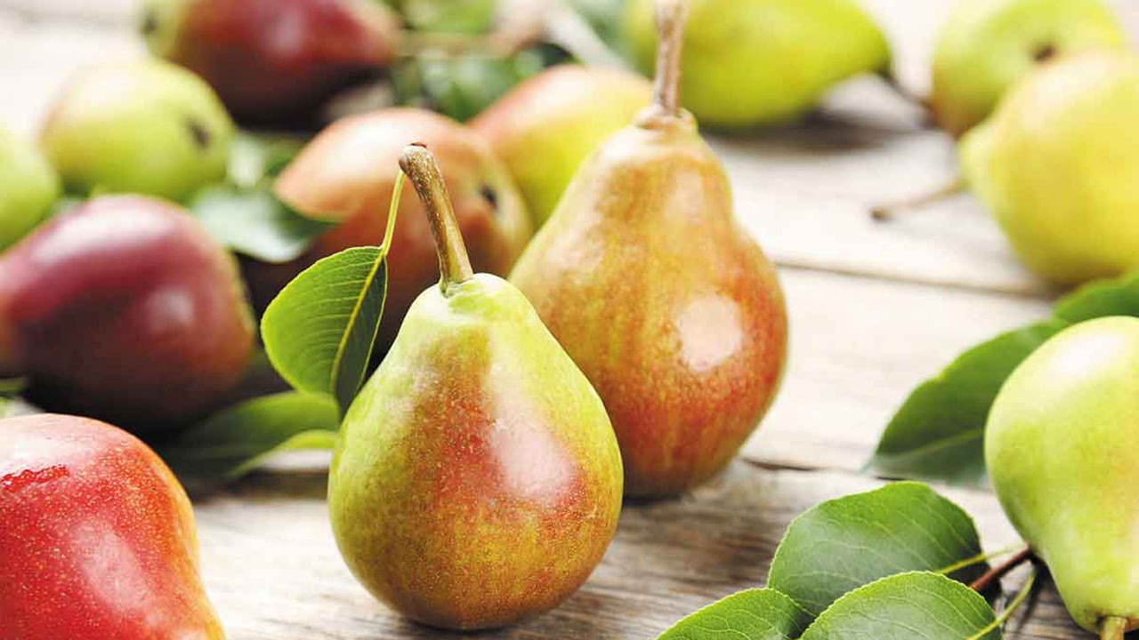 గుండె ఆరోగ్యానికి బేరిపండ్లు చాలా మంచివి. ఇందులో ఉండే యాంటీ ఆక్సిడెంట్స్, ప్రోసూనిడ్లు, ఫైబర్ చెడు కొలెస్ట్రాల్ను తగ్గించి, మంచి కొలెస్ట్రాల్ను పెంచుతాయి. అంతే కాకుండా బేరి పండ్లలో ఉండే పొటాషియం, రక్తపోటును అదుపులో ఉంచి గుండె సమస్యలను తగ్గిస్తుంది. అందుకే గుండె సమస్యలు ఉన్నవారు తప్పకుండా వీటిని తీసుకోవాలంట.