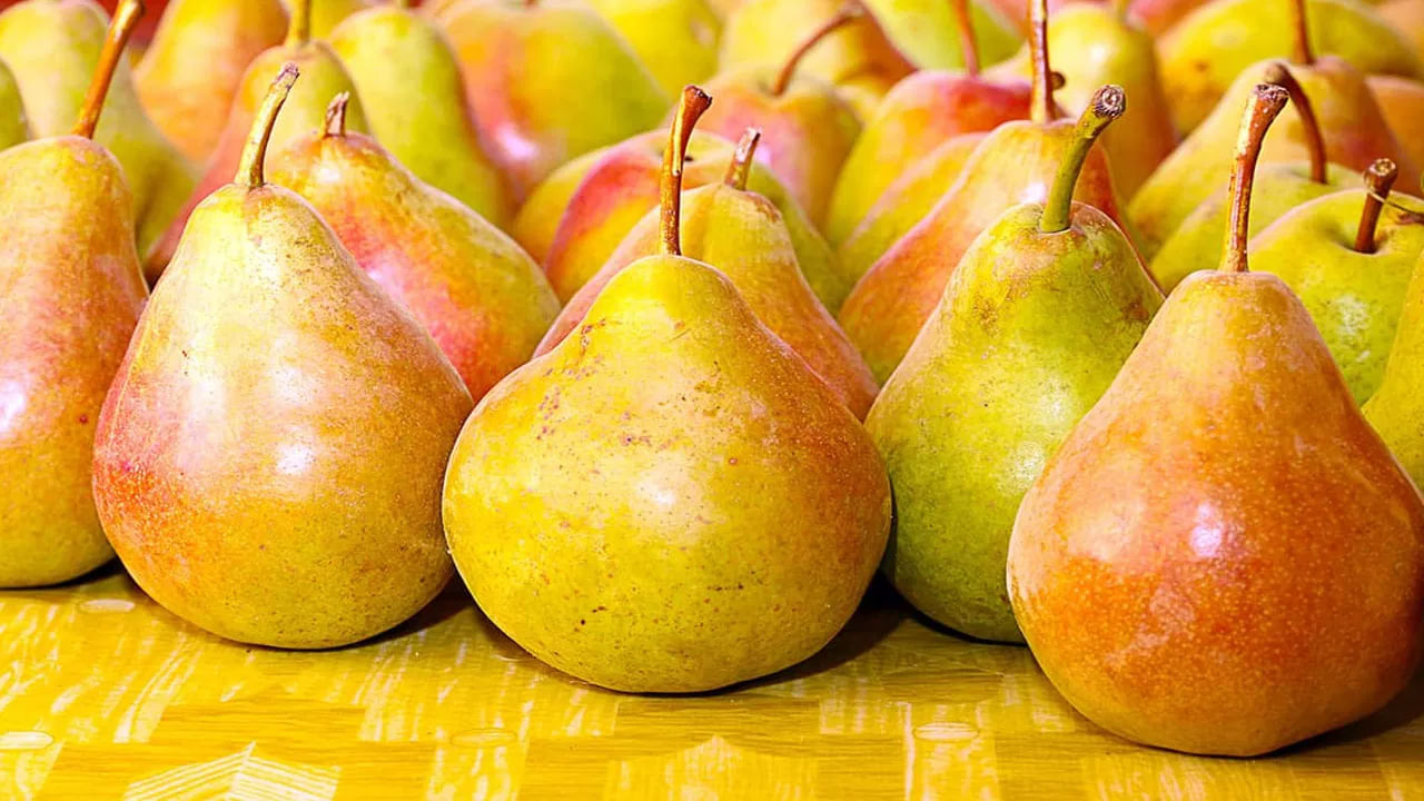 బేరి పండ్లు ఆరోగ్యానికి ఎంతో మంచిది. ఇందులో యాంటీ ఆక్సిడెంట్స్, విటమిన్స్, పొటాషియం, ప్రోటీన్, కార్బో హైడ్రేట్స్, ఐరన్ వంటివి ఎక్కువ మోతాదులో ఉంటాయి. అందువలన ఈ సీజన్లో బేరి పండ్లు తినడం వలన ఇవి శరీరాన్ని అనేక వ్యాధుల నుంచి రక్షిస్తుందంట. ముఖ్యంగా ఇవి రోగనిరోధక శక్తిని పెంచడంలో కీలక పాత్ర పోషిస్తాయంట. అందుకే వర్షాకాలంలో తప్పకుండా బేరి పండ్లు తినాలని చెబుతుంటారు వైద్య నిపుణులు.