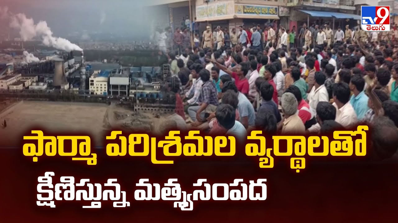 ఫార్మా పరిశ్రమల వ్యర్థాలతో క్షీణిస్తున్న మత్స్యసంపద