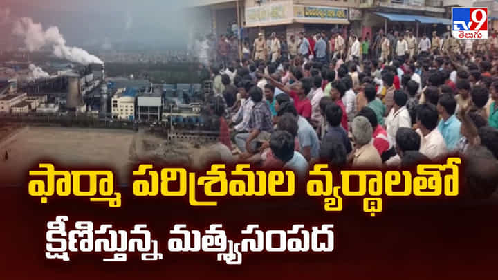 ఫార్మా పరిశ్రమల వ్యర్థాలతో క్షీణిస్తున్న మత్స్యసంపద ఫార్మా పరిశ్రమల వ్యర్థాలతో క్షీణిస్తున్న మత్స్యసంపద